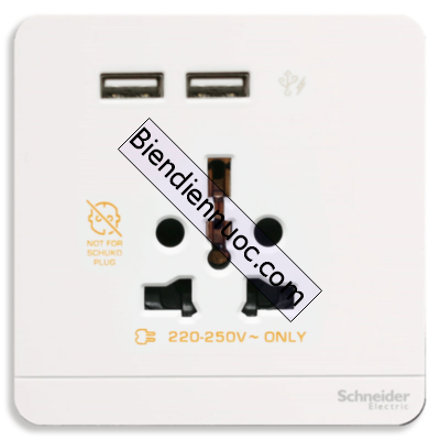 Bộ ổ cắm đa năng và sạc USB đôi dòng AvatarOn E8342616USB_WE_G19 Schneider