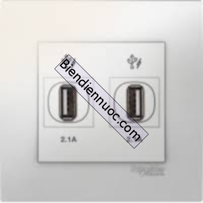Bộ ổ cắm sạc USB đôi 2.1A dòng Vivace KB32USB_WE_G19 màu trắng Schneider
